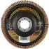 RHODIUS TOPline LGK FK Fächerschleifscheibe 125x22,23mm K80 (210261)