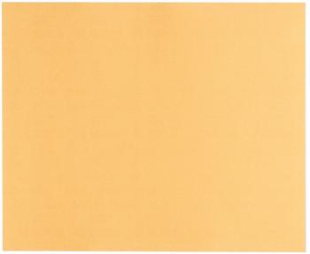 Bosch C470 Best for Wood and Paint - K60 230 x 280 (2608608688)