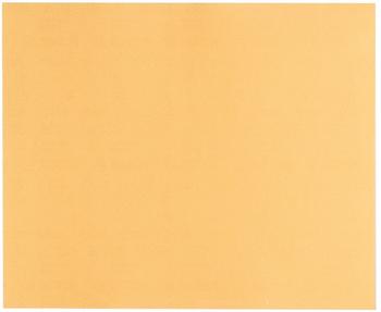 Bosch C470 Best for Wood and Paint - K80 230 x 280 (2608608689)
