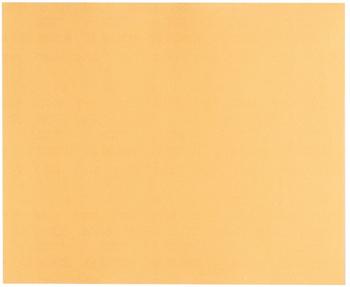 Bosch C470 Best for Wood and Paint - K150 230 x 280 (2608608692)