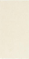 Bosch Accessories 2608900745, Bosch Accessories EXPERT M480 2608900745 Schleifnetz