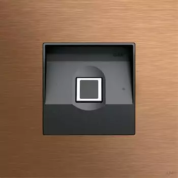 Gira Keyless In System 106 Fingerprintmodul bronze (5551921)