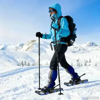 vidaXL Schneeschuhe 25in Aluminium & HDPE, verstellbar, blau