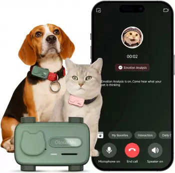Glocalme Petphone