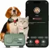 Glocalme Petphone