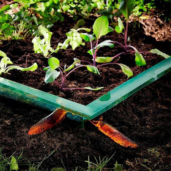 Noor Premium Schneckenbarriere 20x800cm