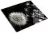 Tulup Herdabdeckplatte Glas Pusteblume schwarz 60x52cm (010010520040000004091)
