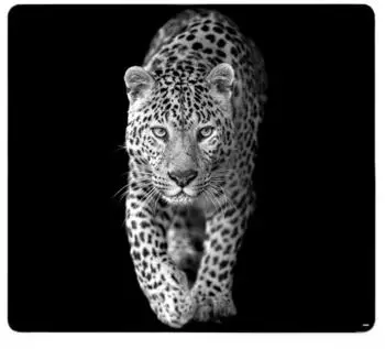 Kesper Multi-Glasschneideplatte Leopard, ESG-Sicherheitsglas, 56x50cm (3658313)