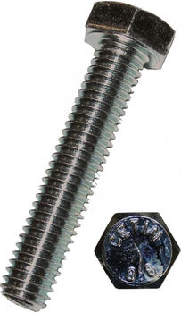 Dresselhaus Sechskantschraube 8.8 6x25 100 Stück (0222/001/74)