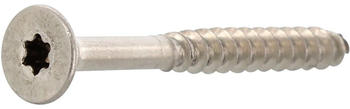 NOBRAND 6.0x 80 Teilgewinde Torx 25 A4 100 Stck.