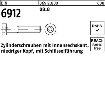 Theo Schrauben Zylinderschrauben mit Innensechskant niedrig DIN 6912 Stahl 8.8 M5x16 (069128009050016)