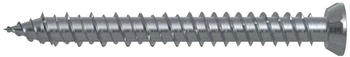 Fischer Fensterrahmenschraube FFS 7,5x92 TX30 Flachkopf 100 St&uuml;ck (532930)