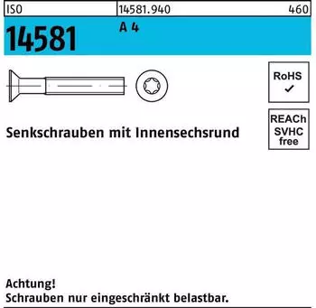REYHER Senkschraube ISO 14581 ISR M5x 20 T25 A 4 500 Stück
