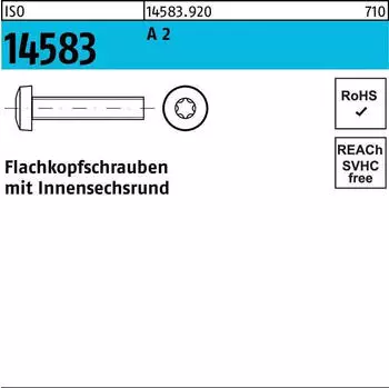 REYHER Flachkopfschraube ISO 14583 ISR M1,6x3 Edelstahl A2 (ISO 14583)