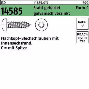 Theo Schrauben Flachkopf-Blechschraube ISO 14585 Form C TX Stahl galv. verzinkt 5,5x19mm (ISO 14585)