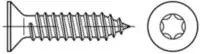 Senkblechschraube ISO 14586 ISR/Spitze 5,5x 19 -C T25 A 2 500St&uuml;ck