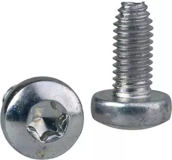 Schneider Electric Schraube Torx T30 M6x14, selbstschneidend, 100 St&uuml;ck (NSYST30M6S)