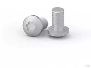 Eldon Schrauben M6x12 f&uuml;r K&auml;figmutter (CNS612)