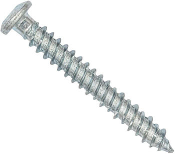 Parco Typ Pan Head 75x62mm Silverline TX30 100 Stück