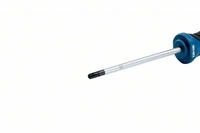 Bosch Professional 1600A01V0D, Bosch Professional Bosch Schraubendreher TX 25 x...