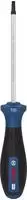 Bosch Professional 1600A039SB, Bosch Professional PRO Schraubendreher TX20 x 100mm