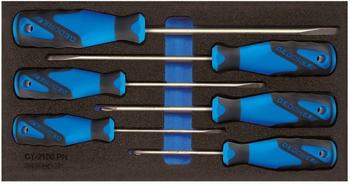 Gedore Schraubendreher-Satz in 1/3 Check-Tool-Modul (1500 CT1-2150 PH)
