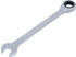 SW 21 mm (6521)