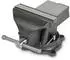 Eberth Schraubstock mit Amboss, Gusseisen, 150mm Backenbreite, 360° drehbar (BV3-150ST)