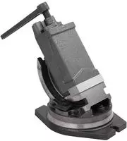 vidaXL 2-Achsen-Schraubstock Kippbar 100 mm