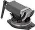 vidaXL Schraubstock 2-Achsen neigbar 100mm (145390)