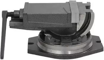 vidaXL Schraubstock 2-Achsen neigbar 160mm (145391)
