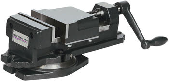 Optimum FMS 100