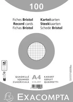 Exacompta Karteikarten A4 kariert, 10x100 St&uuml;ck, wei&szlig; (10206E)