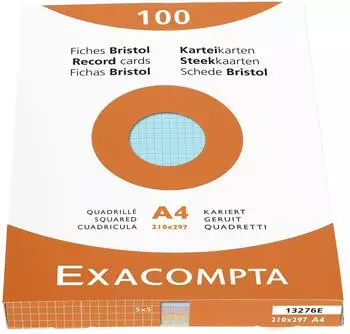 Exacompta Karteikarten A4 kariert farbig sortiert 100 St&uuml;ck (13276E)