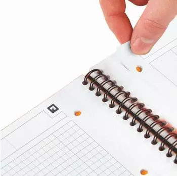 Oxford Meetingbook A4+ kariert 5mm, 80 Blatt, 5er-Pack (100100362)