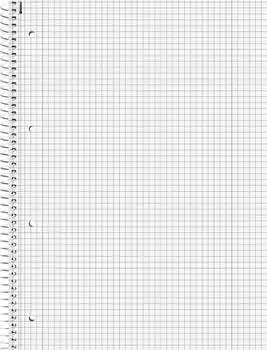 Brunnen Collegeblock Student Duo A4, liniert/kariert, 70g/m², 80 Blatt (1067974)