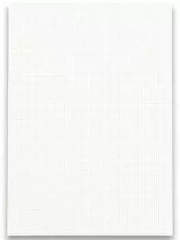Landré Kanzleipapier DIN A4 kariert, 80g/m², 500 Blatt (100050627)