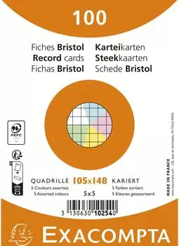 Exacompta Karteikarten A6 kariert, farbig sortiert, 100 St&uuml;ck (10254E)