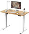 Flexispot Basic Plus EF1 120x80cm