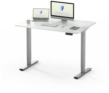 Flexispot Basic Plus EF1 120x80cm weiß/grau