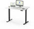 Flexispot Basic Plus EF1 120x80cm