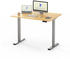 Flexispot Basic Plus EF1 120x80cm