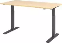 Hammerbacher-Sitz-Steh-Schreibtisch el.160x80cm Ahorn/Grap-VXMKA16/3/G