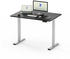 Flexispot Basic Plus EF1 120x80cm