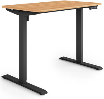 eSmart Germany Steh-Sitz-Schreibtisch 100x60cm (ETX-121BM)