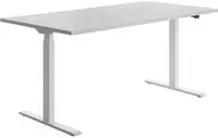 Topstar E-Table elektrisch h&ouml;henverstellbarer Schreibtisch lichtgrau rechteckig,