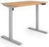 eSmart Germany Steh-Sitz-Schreibtisch 100x60cm (ETX-121)