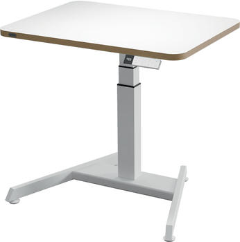 Leitz Ergo 80x60cm (65340001)