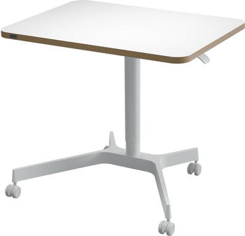 Leitz Ergo 80x60cm (65360001)