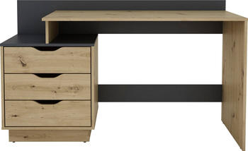 Homexperts Belfast 112x52cm (98099)